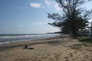 Pantai Angsana, Destinasi Wisata Bahari Favorit di Kalimantan Selatan
